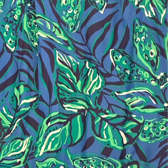 Lilly Pulitzer Lakira Cotton Vibrant Blue and Green Maxi Dress Size Small - Picture 4 of 9